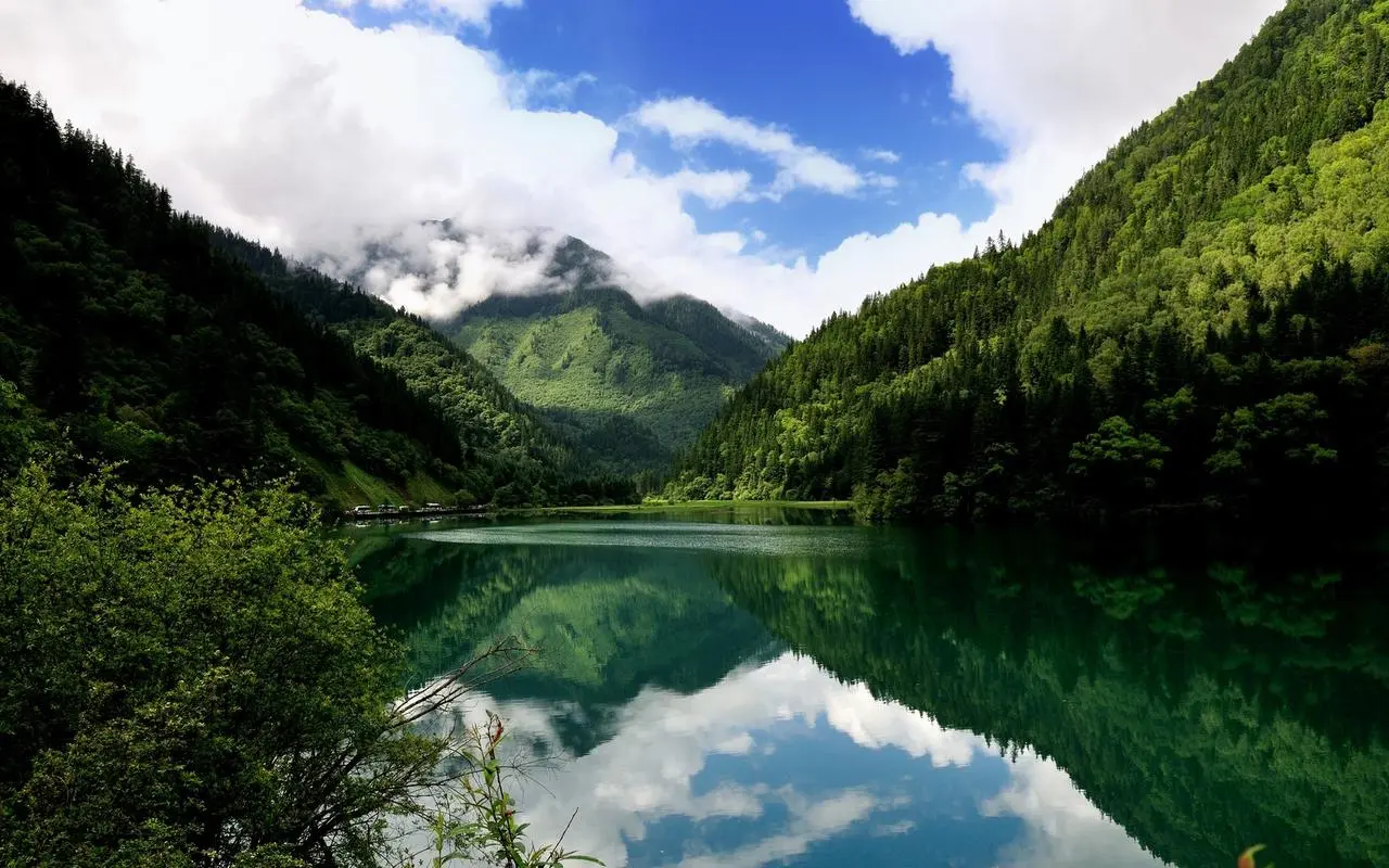 智能高端高端